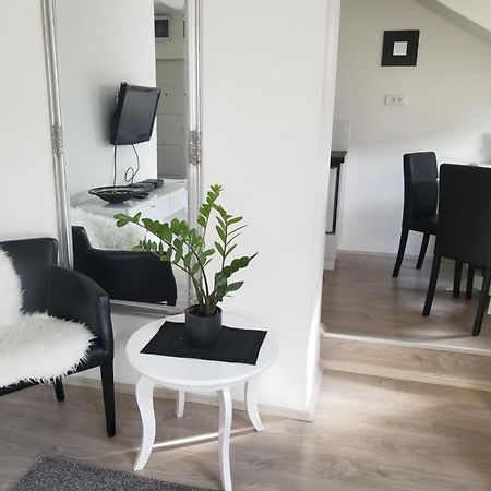Stan Na Dan Angel Apartment Novi Sad Cameră foto