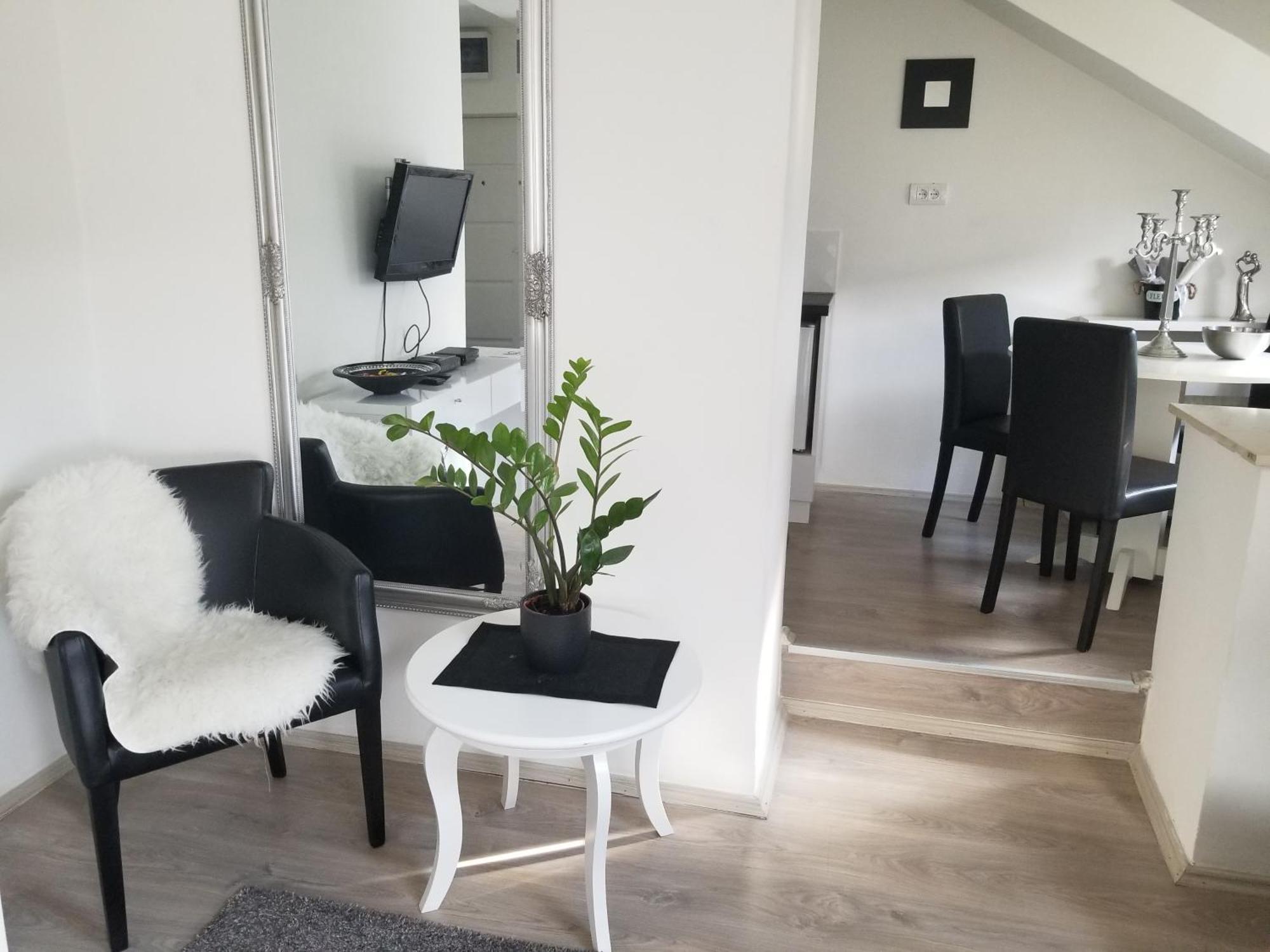 Stan Na Dan Angel Apartment Novi Sad Cameră foto