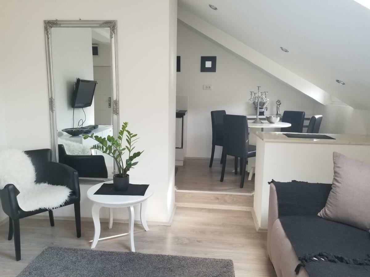 Stan Na Dan Angel Apartment Novi Sad Exterior foto
